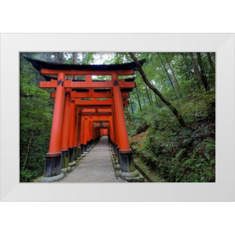 Japan, Kyoto, Fushimi-Inari-Taisha Torii Gates White Modern Wood Framed Art Print by Flaherty, Dennis