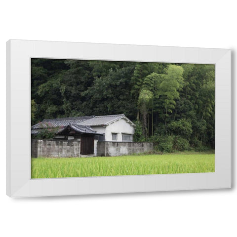 Japan, Heguri-cho Rural home next to rice field White Modern Wood Framed Art Print by Flaherty, Dennis