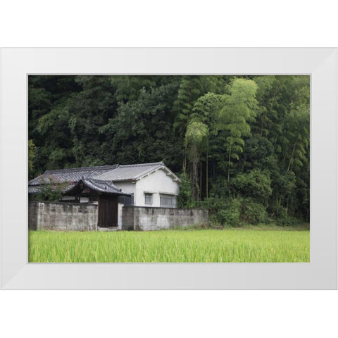 Japan, Heguri-cho Rural home next to rice field White Modern Wood Framed Art Print by Flaherty, Dennis