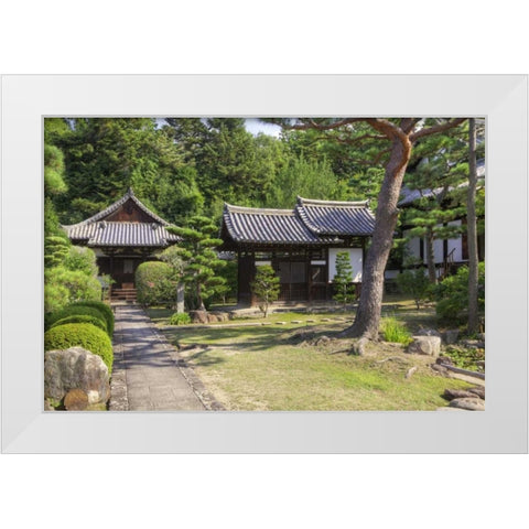 Japan, Nara Grounds of the Shingon-in Temple White Modern Wood Framed Art Print by Flaherty, Dennis
