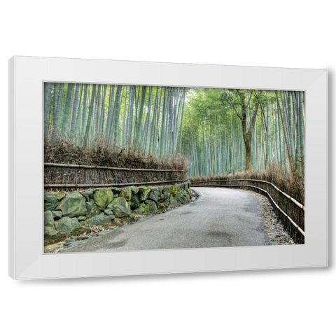 Japan, Kyoto Arashiyama Bamboo Grove White Modern Wood Framed Art Print by Flaherty, Dennis
