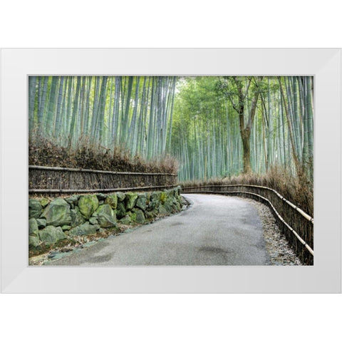 Japan, Kyoto Arashiyama Bamboo Grove White Modern Wood Framed Art Print by Flaherty, Dennis