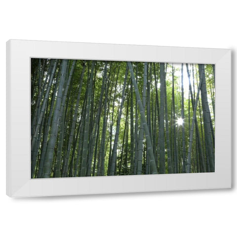 Japan, Kyoto Arashiyama Bamboo Grove White Modern Wood Framed Art Print by Flaherty, Dennis