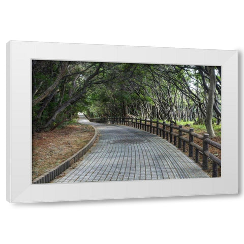 Japan, Wakagama Prefecture Brick pathway White Modern Wood Framed Art Print by Flaherty, Dennis