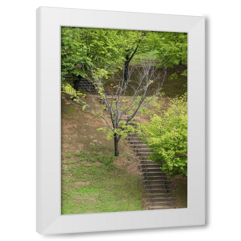 Asia, Japan, Heguri-cho Stairway in a park White Modern Wood Framed Art Print by Flaherty, Dennis