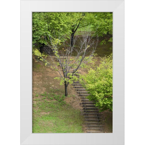 Asia, Japan, Heguri-cho Stairway in a park White Modern Wood Framed Art Print by Flaherty, Dennis