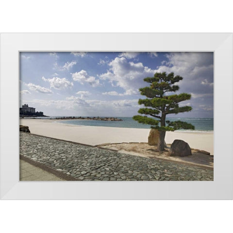 Japan, Shiranahma Scenic of White Harbor White Modern Wood Framed Art Print by Flaherty, Dennis