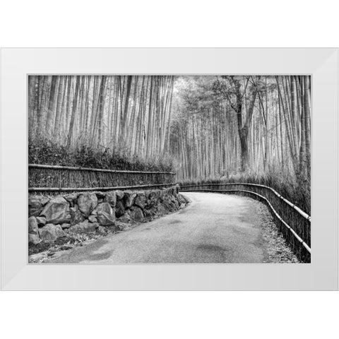 Japan, Kyoto Walkway through Arashiyama Grove White Modern Wood Framed Art Print by Flaherty, Dennis