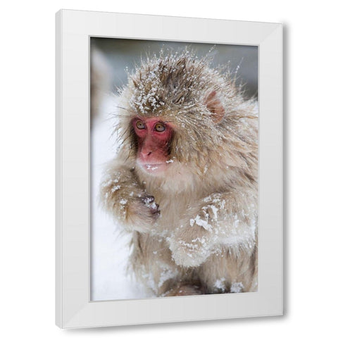 Japan-Nagano  White Modern Wood Framed Art Print by Goff, Ellen