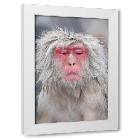 Japan-Nagano  White Modern Wood Framed Art Print by Goff, Ellen