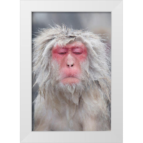 Japan-Nagano  White Modern Wood Framed Art Print by Goff, Ellen