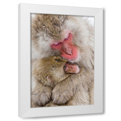 Japan-Nagano  White Modern Wood Framed Art Print by Goff, Ellen