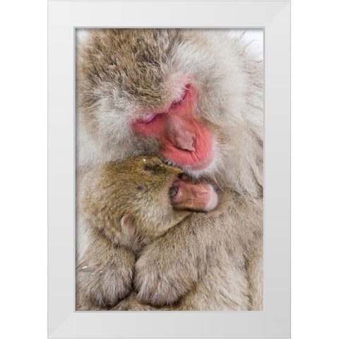 Japan-Nagano  White Modern Wood Framed Art Print by Goff, Ellen