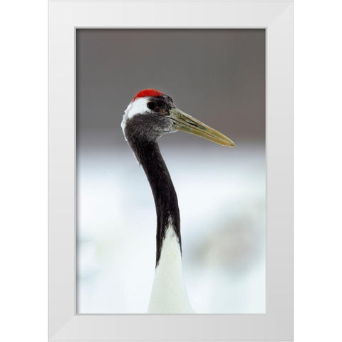Japan-Hokkaido-Kushiro  White Modern Wood Framed Art Print by Goff, Ellen