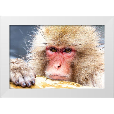 Japan-Nagano White Modern Wood Framed Art Print by Goff, Ellen