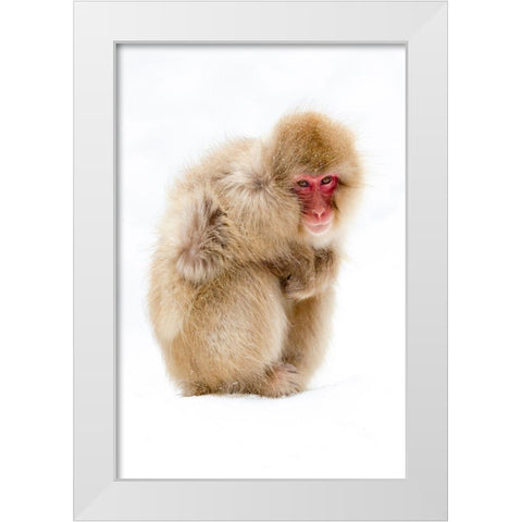 Japan-Nagano  White Modern Wood Framed Art Print by Goff, Ellen