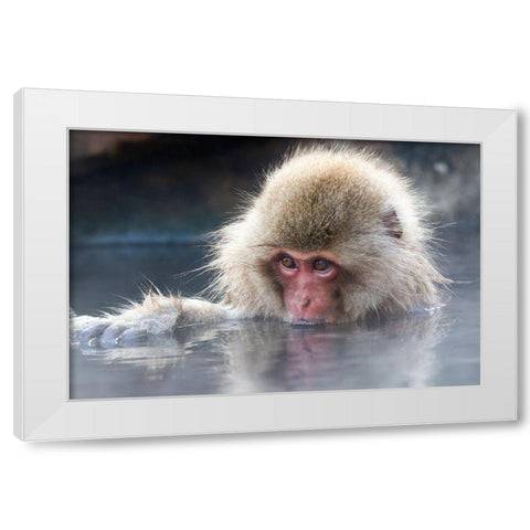 Japan-Nagano Portrait of a juvenile White Modern Wood Framed Art Print by Goff, Ellen