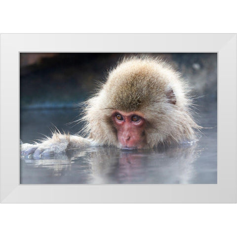 Japan-Nagano Portrait of a juvenile White Modern Wood Framed Art Print by Goff, Ellen