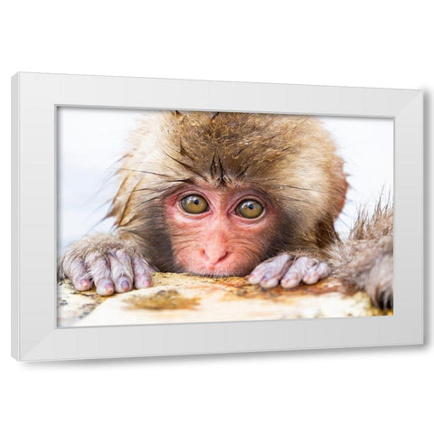 Japan-Nagano  White Modern Wood Framed Art Print by Goff, Ellen