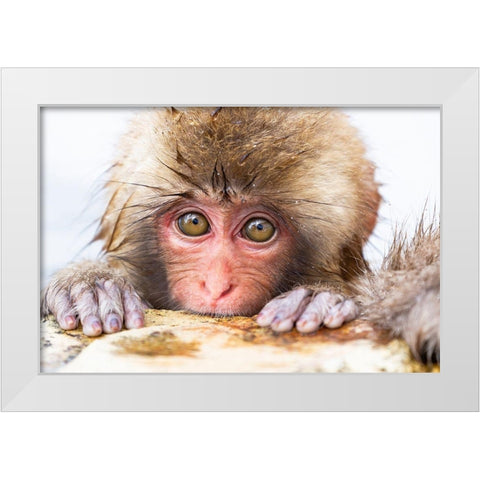 Japan-Nagano  White Modern Wood Framed Art Print by Goff, Ellen