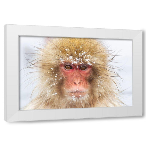 Japan-Nagano  White Modern Wood Framed Art Print by Goff, Ellen