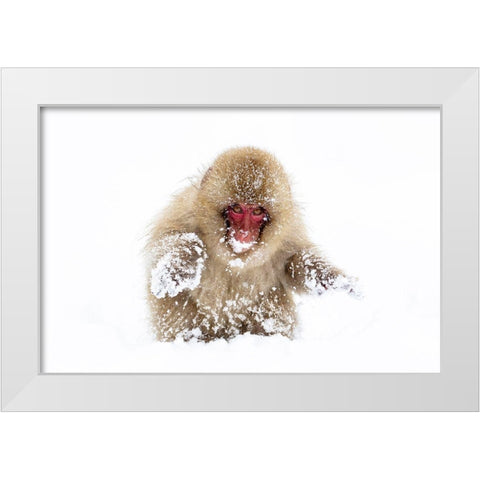 Japan-Nagano White Modern Wood Framed Art Print by Goff, Ellen