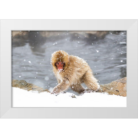 Japan-Nagano White Modern Wood Framed Art Print by Goff, Ellen