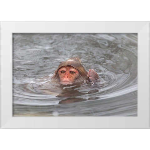 Japan-Nagano White Modern Wood Framed Art Print by Goff, Ellen