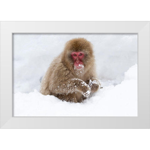 Japan-Nagano White Modern Wood Framed Art Print by Goff, Ellen