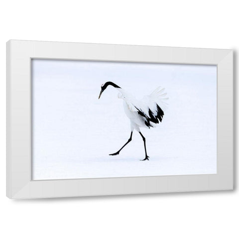 Japan-Hokkaido-Kushiro A red-crowned crane assumes elegant positions during its courtship dance White Modern Wood Framed Art Print by Goff, Ellen