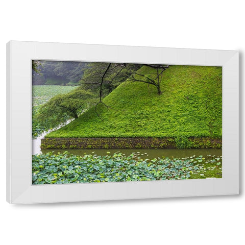 Lotus pond in the Royal Palace-Tokyo-Japan White Modern Wood Framed Art Print by Su, Keren