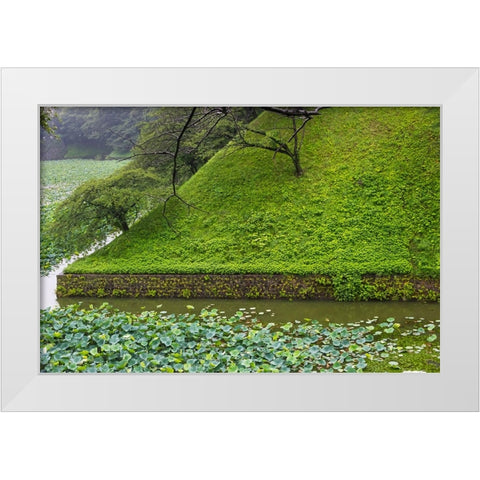 Lotus pond in the Royal Palace-Tokyo-Japan White Modern Wood Framed Art Print by Su, Keren