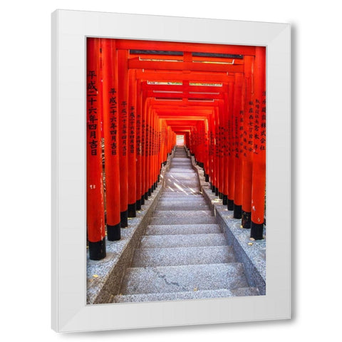 Famous Torii-or gates of the entrance to the Hie Shrine in Tokyo-Japan White Modern Wood Framed Art Print by Haddad, Sheila