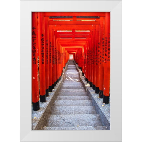 Famous Torii-or gates of the entrance to the Hie Shrine in Tokyo-Japan White Modern Wood Framed Art Print by Haddad, Sheila