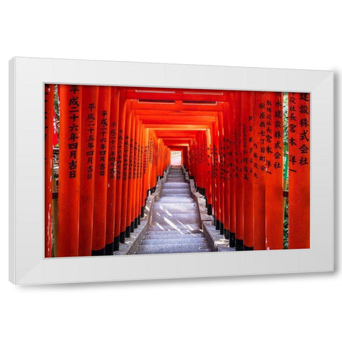 Famous Torii-or gates of the entrance to the Hie Shrine in Tokyo-Japan White Modern Wood Framed Art Print by Haddad, Sheila