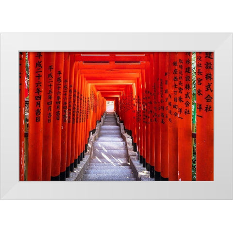 Famous Torii-or gates of the entrance to the Hie Shrine in Tokyo-Japan White Modern Wood Framed Art Print by Haddad, Sheila