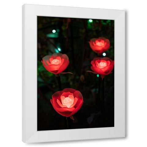 Illuminated red roses of the Ashikaga Flower park-Japan-at night in winter White Modern Wood Framed Art Print by Haddad, Sheila