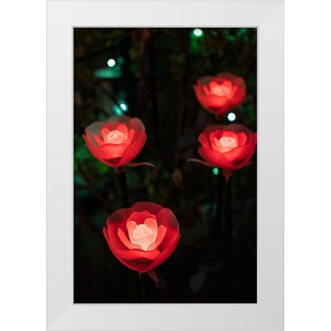 Illuminated red roses of the Ashikaga Flower park-Japan-at night in winter White Modern Wood Framed Art Print by Haddad, Sheila
