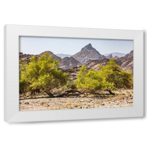 Middle East-Arabian Peninsula-Oman-Al Batinah South-Rustaq White Modern Wood Framed Art Print by Wilson, Emily M.