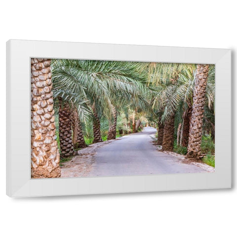 Middle East-Arabian Peninsula-Oman-Ad Dakhiliyah-Nizwa-Palm trees along a road in Nizwa-Oman White Modern Wood Framed Art Print by Wilson, Emily M.