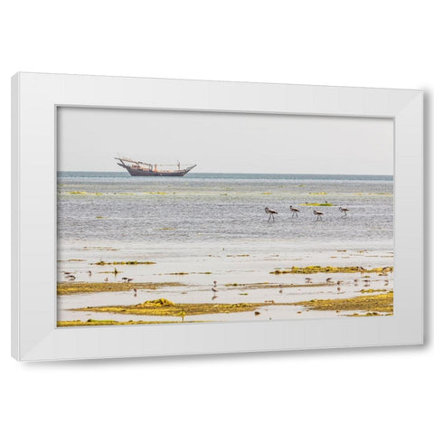 Middle East-Arabian Peninsula-Al Batinah South-Mahout-Flamingos White Modern Wood Framed Art Print by Wilson, Emily M.