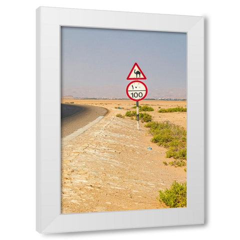 Middle East-Arabian Peninsula-Al Batinah South-Camel crossing White Modern Wood Framed Art Print by Wilson, Emily M.