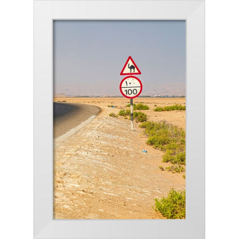 Middle East-Arabian Peninsula-Al Batinah South-Camel crossing White Modern Wood Framed Art Print by Wilson, Emily M.