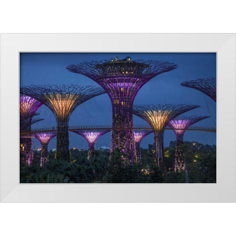 Singapore Garden by the Sea towers at night White Modern Wood Framed Art Print by Zuckerman, Jim