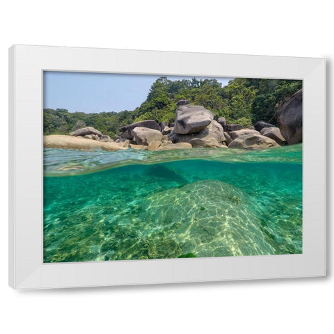 The clear water and rocks of Ko Miang island White Modern Wood Framed Art Print by Pitamitz, Sergio