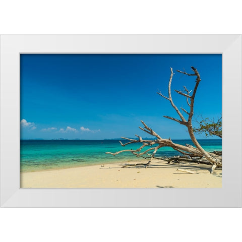 Ko Kradan-Talay Trang archipelago-Thailand White Modern Wood Framed Art Print by Pitamitz, Sergio
