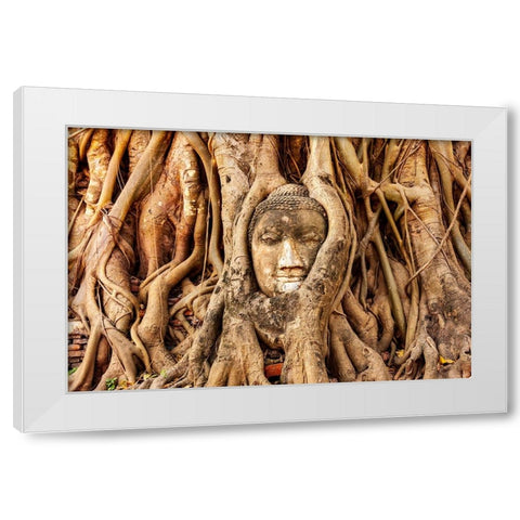 Thailand- Ayutthaya. Wat Mahathat. Buddha head engulfed in tree roots. White Modern Wood Framed Art Print by Haseltine, Tom
