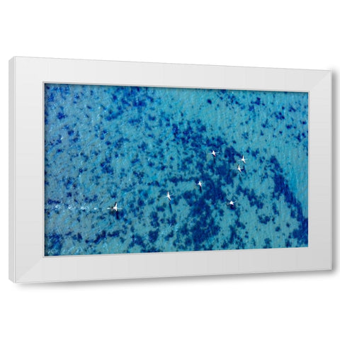 Flamingos flying at the Aegean coast-Turkey White Modern Wood Framed Art Print by Kabas, Ali