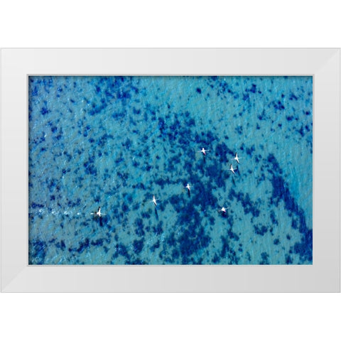 Flamingos flying at the Aegean coast-Turkey White Modern Wood Framed Art Print by Kabas, Ali