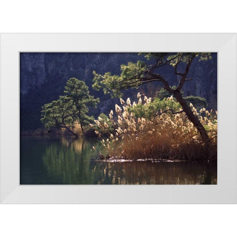 Turkey, Dalyan Pines, grasses and waterfowl White Modern Wood Framed Art Print by Satushek, Steve